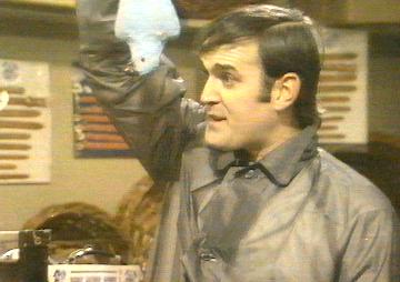 parrot07.jpg (16652 bytes)